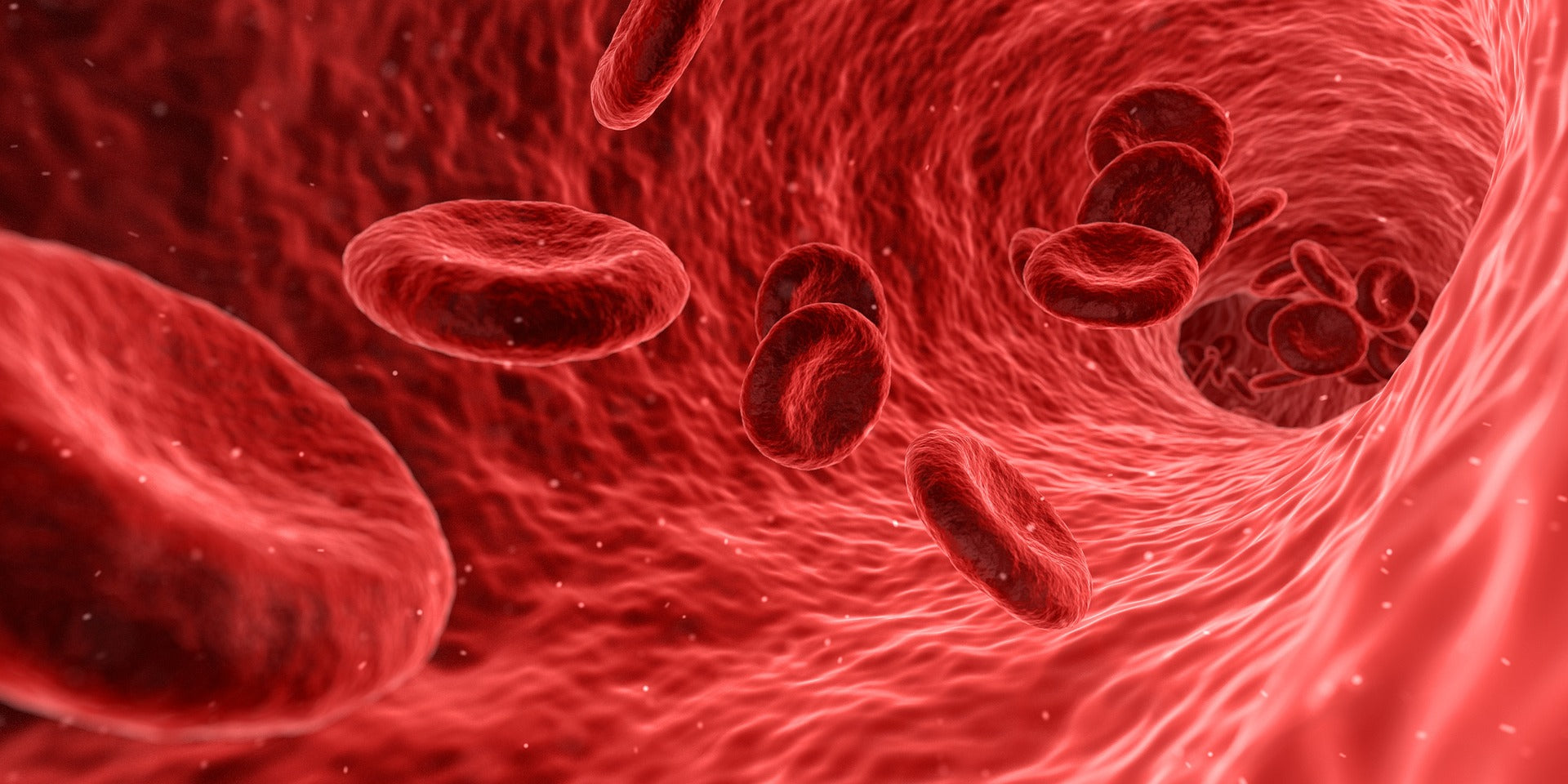 Anaemia and Iron Deficiency