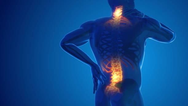 Best Medicines for Pain Management 2024